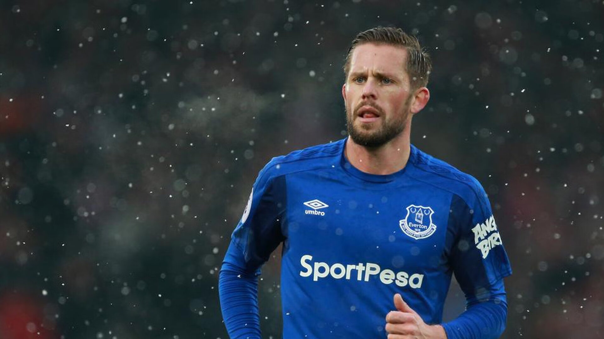 维也纳的枪火与开罗的沉默，坎特如何成为改变战局的关键先生